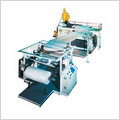 Air Bubble Sheet Plant 